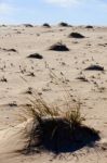 Hills On The Beach Stock Photo