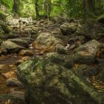 Natural Bridge Creek Stock Photo