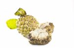 Custard Apple Stock Photo