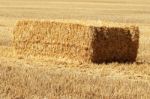 Straw Bales Stock Photo