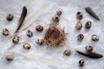 Quail Eggs Flat Lay Still Life With Food Stylish Stock Photo