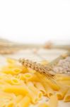 Italian Pasta Penne With Wheat Stock Photo