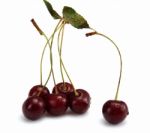 Cherry Stock Photo