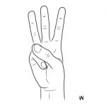 Sign Language And The Alphabet,the Letter W Stock Photo