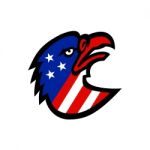 American Flag Inside Eagle Mascot Stock Photo