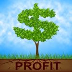 Profit Tree Shows United States And Banking Stock Photo