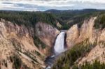 Lower Yellowstone Falls Stock Photo