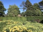 Nature And Flowers In The Park Stock Photo