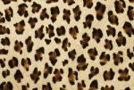 Leopard Skin Background Stock Photo