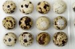 Raw Quail Eggs Stock Photo