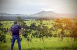 Backpacker In The Forest Stock Photo