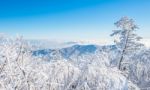 Deogyusan Mountains In Winter, Korea Stock Photo