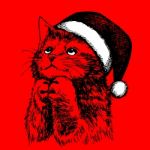 Little Cat, Kitten With Christmas Santa Hat Stock Photo