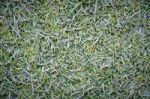 Green Fake Grass Background Stock Photo