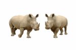 Rhinoceros Stock Photo