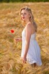 Portrait Of Beautiful Girl In Field Stock Photo