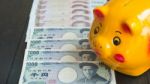 Saving Money By Piggy Bank. Piggy Bank , Yellow Pig Piggy Bank., Stock Photo