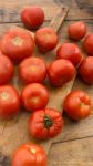 Freshly Picked Tomatoes, Place On Wooden Chopping Board And Table Stock Photo