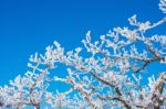 Deogyusan Mountains In Winter, Korea Stock Photo