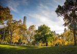 Central Park At Sunny Day, New York City Stock Photo