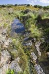 Beautiful Spring View Of A Countryside Stream Of Water Located In Portugal Stock Photo