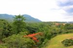 Aerial View Of Kao Yai National Park In Thailand Stock Photo