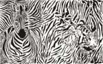 Zebra And Tiger Pattern Stock Photo