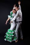 Young Flamenco Dancers In Beautiful Dress On Black Background Stock Photo