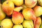 Ripe Pears Stock Photo
