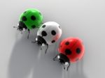 Ladybird Stock Photo