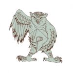 Owl Holding Spartan Helmet Drawing Stock Photo