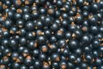 Blackcurrant Stock Photo