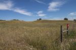 Vast Hills On Alentejo Stock Photo