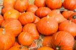 Pumpkins For Sale Stock Photo