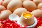 Egg Stock Photo