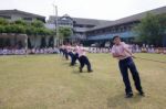 Bangkok, Thailand - Nov 2016: In The Nov 23, 2016. Youth Tug Of War, In Pieamsuwan Elementary School Stock Photo