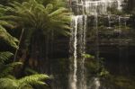 Russell Falls In Mount Field National Park Stock Photo