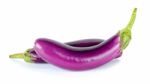 Purple Eggplant Isolated On The White Background Stock Photo