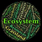 Ecosystem Word Shows Eco Biosystem And Ecology Stock Photo