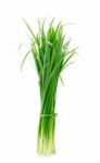 Leek  Stock Photo