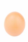 Close-up Of A Egg On White Stock Photo