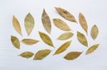 Dried Bay Leaves On White Wooden Background Stock Photo