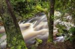 Newell Creek In Tasmania Stock Photo