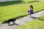 Little Girl Having Trouble With Dog Stock Photo