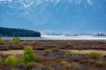 Grand Teton National Park Stock Photo