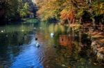 Autumn Scene At The Lake In Parco Di Monza Italy Stock Photo