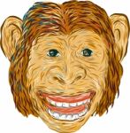 Chimpanzee Head Front Isolated Stock Photo