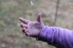 Hand In The Rain Stock Photo