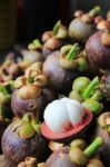 Mangosteen Stock Photo