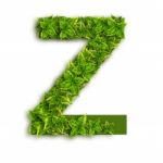 Letter Z With Leaves Stock Photo